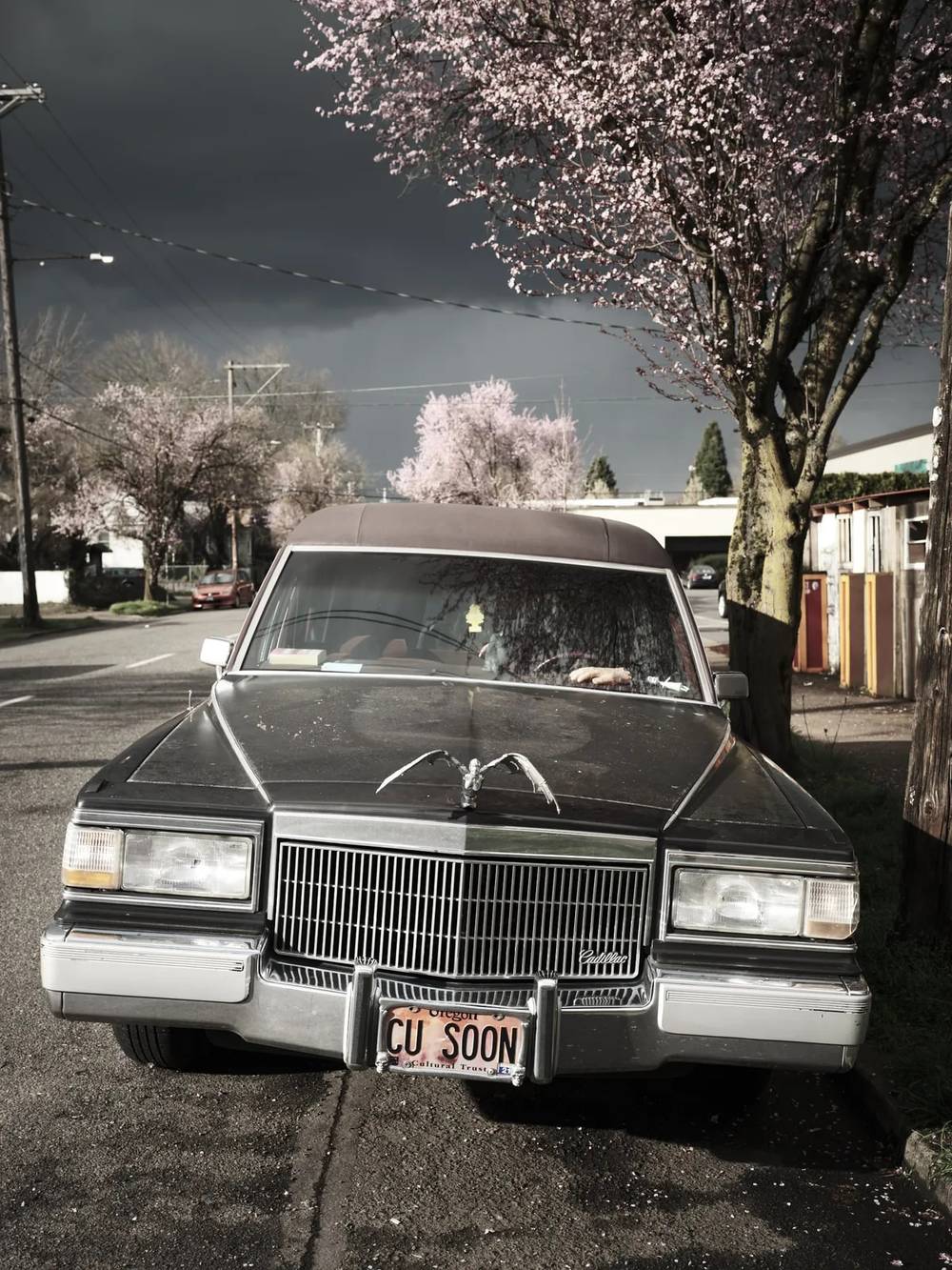 Vintage Cadillac Hearse with Humorous License Plate in Portland