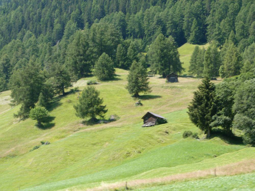 wanna move here