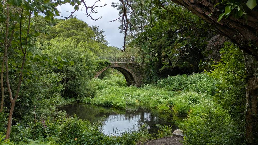 Bridge