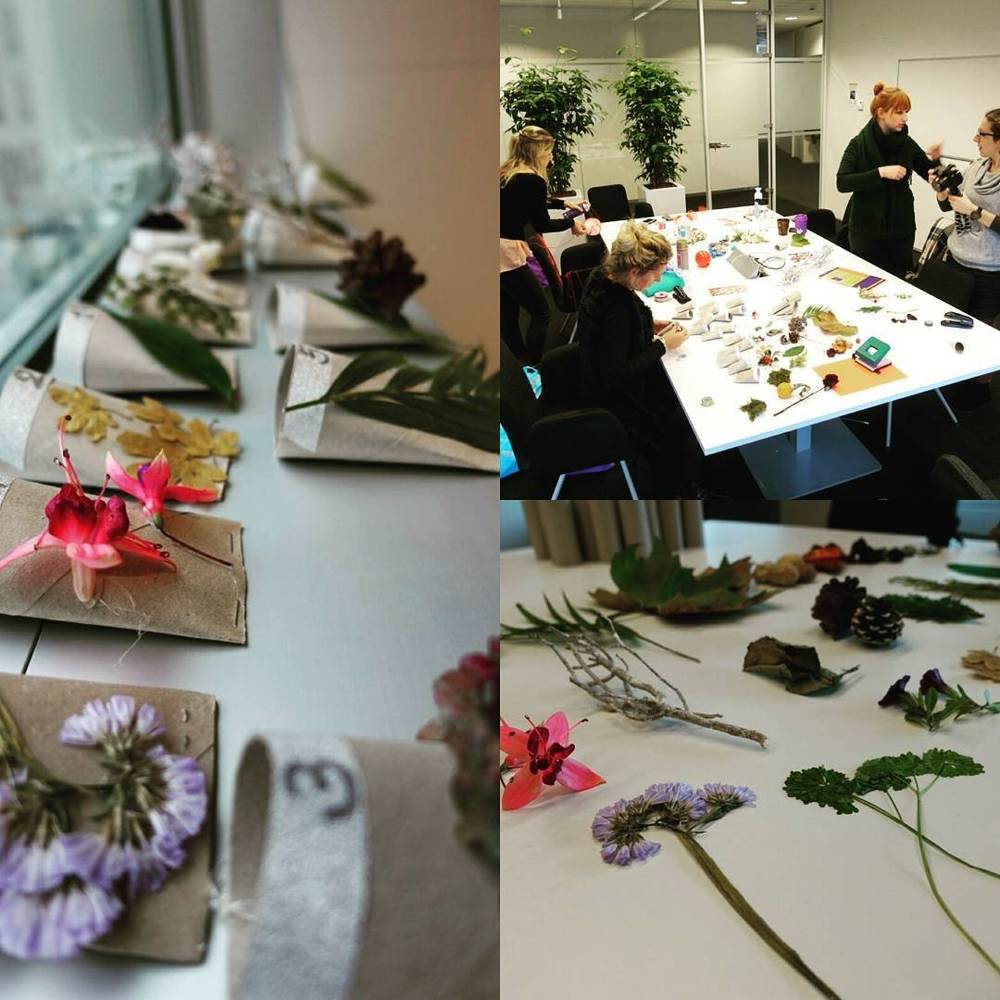 Collage of a nature-themed craft workshop with pressed flowers, leaves, and paper decorations being made at a table.