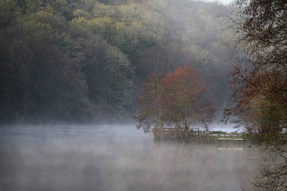 Matin d'automne dernier