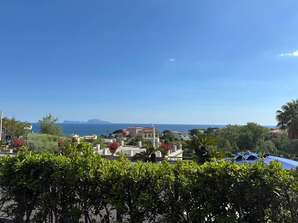Looking out from Naples, over some bushes and houses towards the sea, and Capri