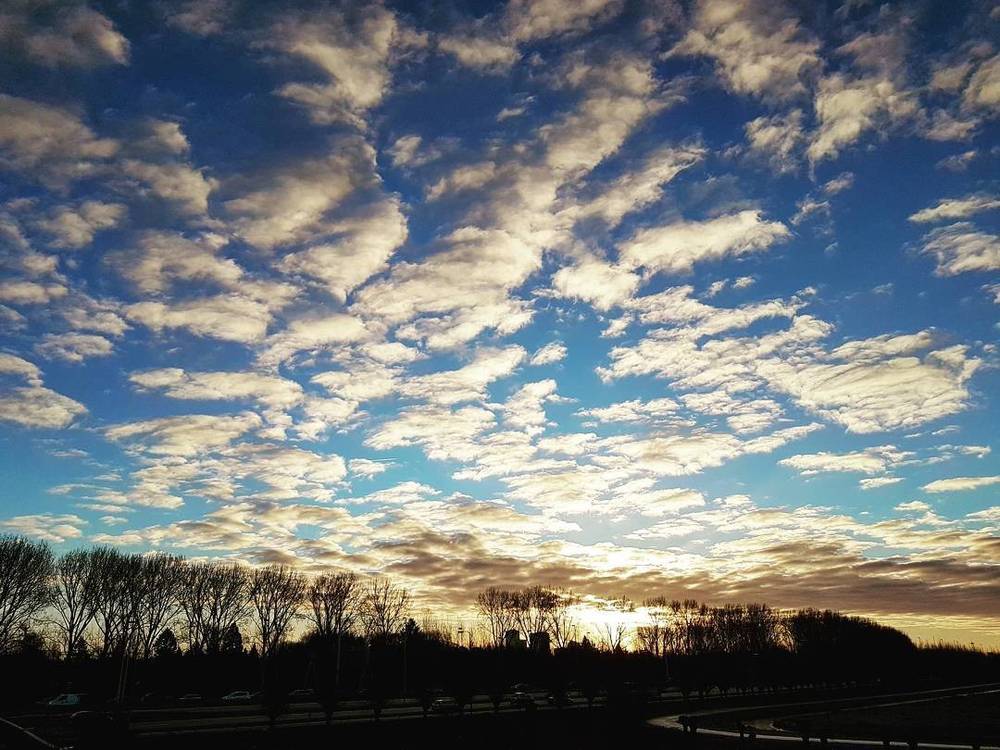 A sky filled with scattered clouds catching evening light over a silhouetted tree line.