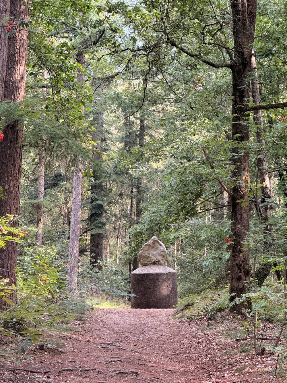 Utrechtse Heuvelrug National Park