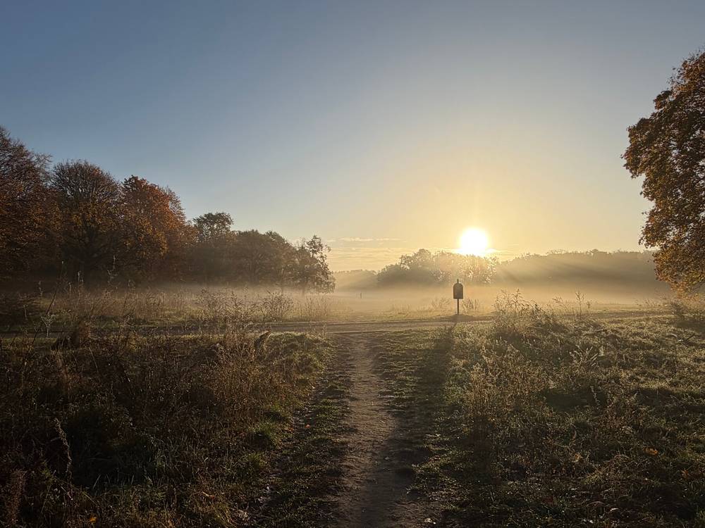 nebel war angesagt, nebel wurde geliefert.