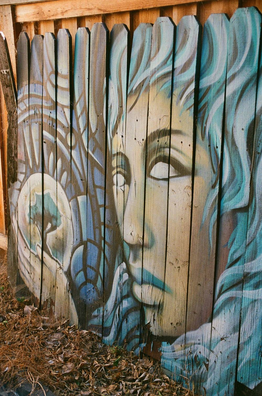 Random shots from first test roll in my inherited Minolta X-7A