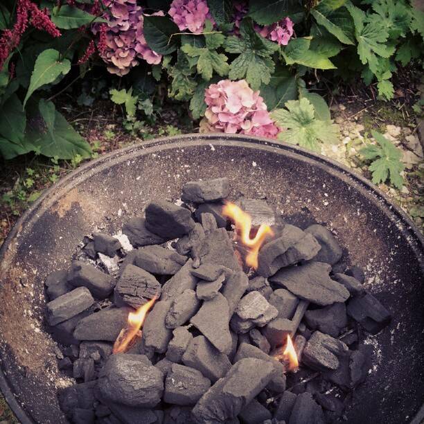 Glowing charcoal briquettes with small flames in a fire bowl surrounded by flowers.