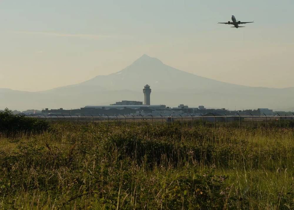 A commercial aircraft climbs through the hazy atmosphere above Portland International Airport, its silhouette stark against the muted sky. The iconic snow-capped peak of Mount Hood looms majestically in the background, while the airport's distinctive control tower anchors the middle ground. Wild grasses and autumn vegetation sprawl in the foreground, creating layers of natural texture that contrast with the geometric precision of aviation infrastructure.