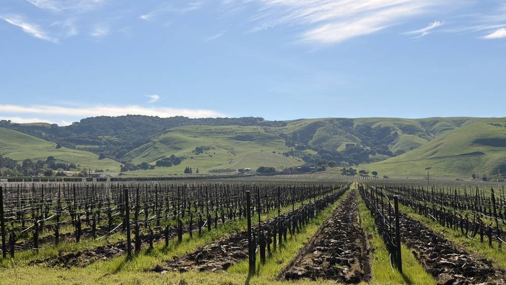Weekend Sonoma Trip