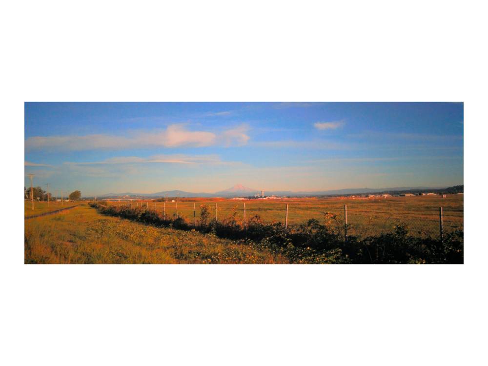 evening run, photo 2 of 6