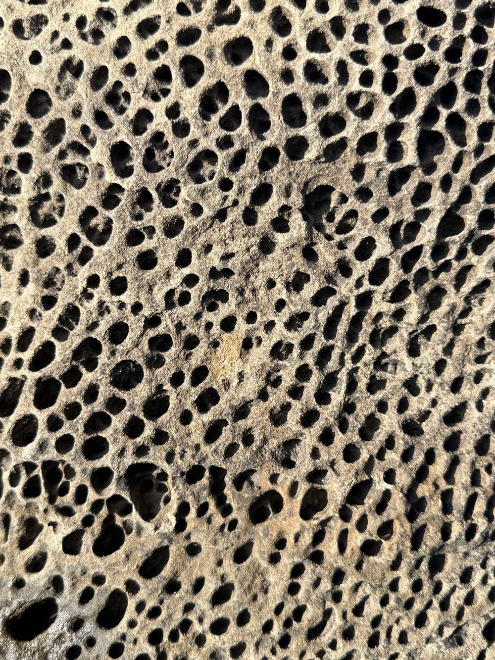 Holes of Gabriola Island