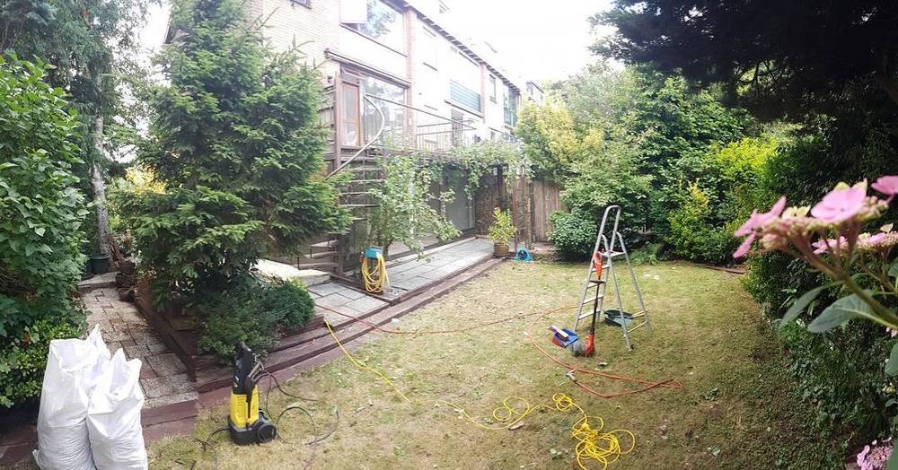 A backyard garden with a pressure washer, hose and ladder set up for cleaning.
