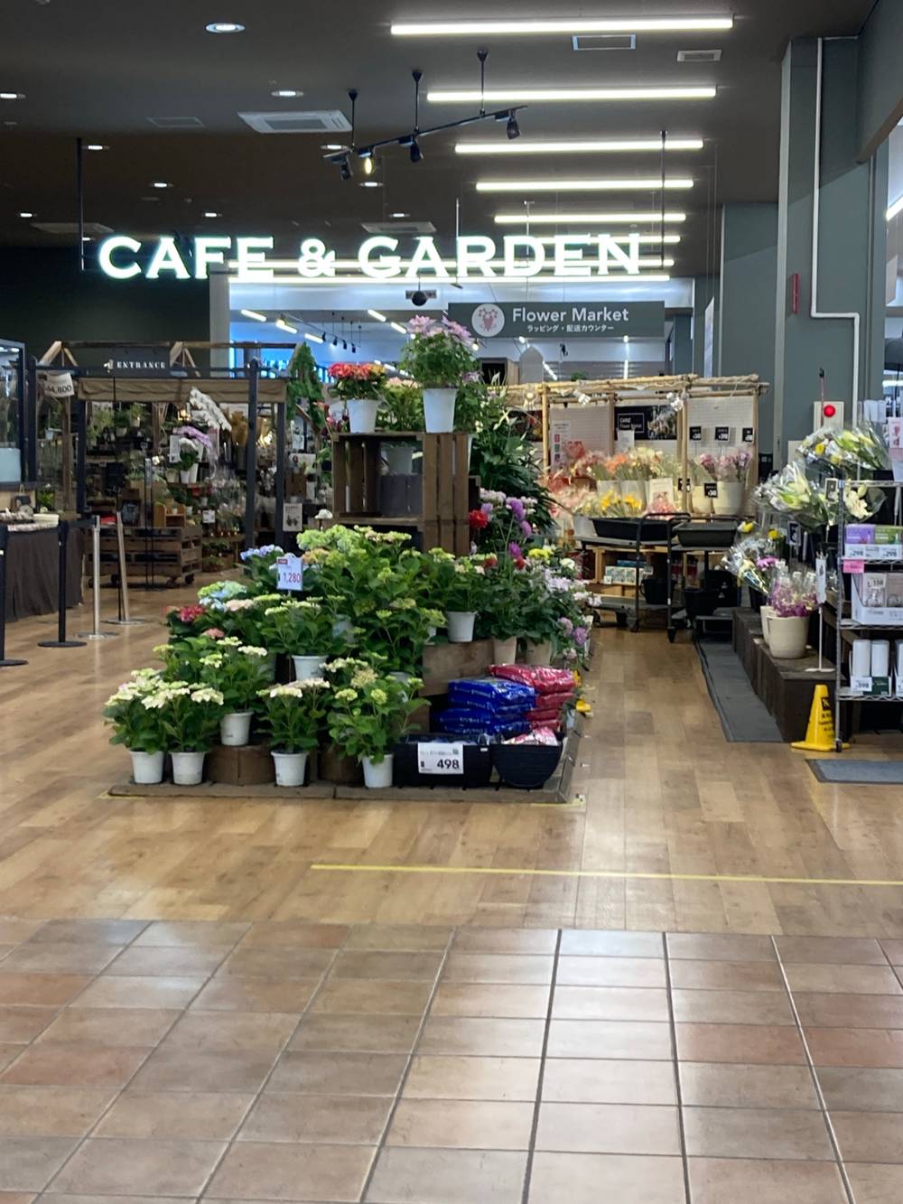 shop