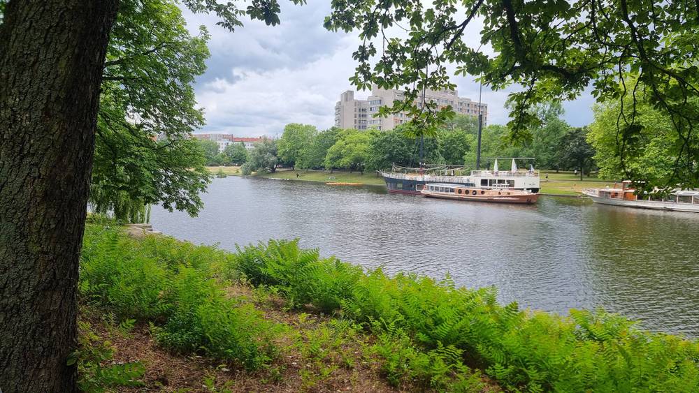 A riverside view of tall ships moored along the bank, seen through greenery.