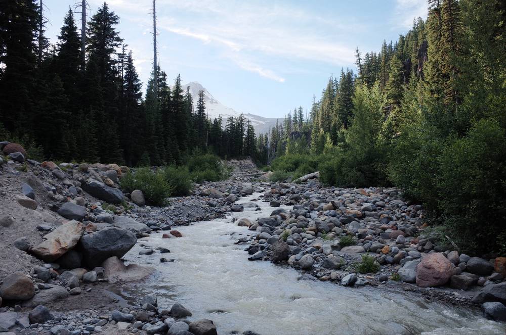 Elk Meadows