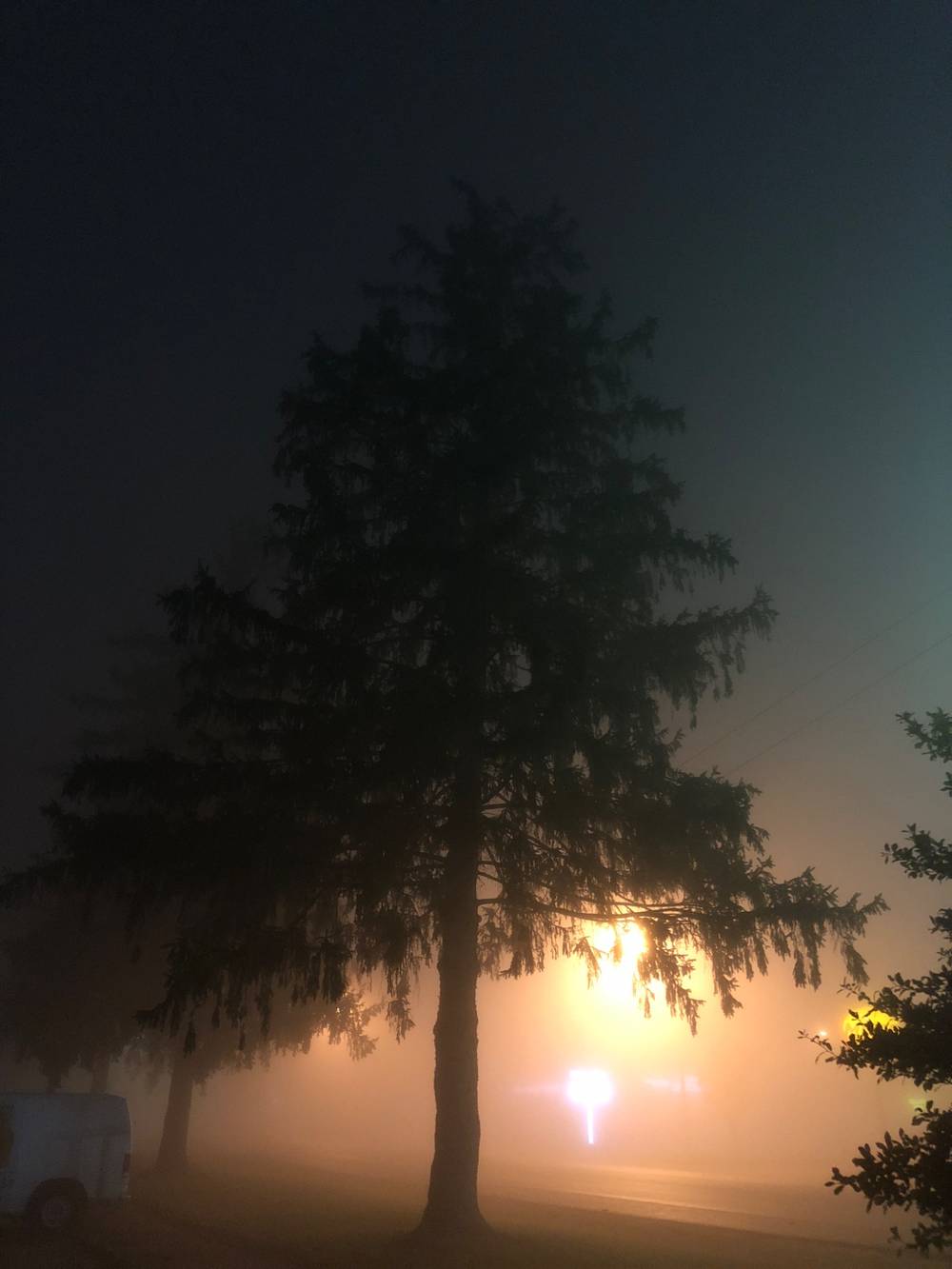 Foggy night walk from years ago