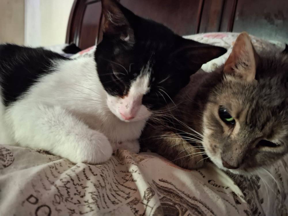 Ceres + Ruckus
