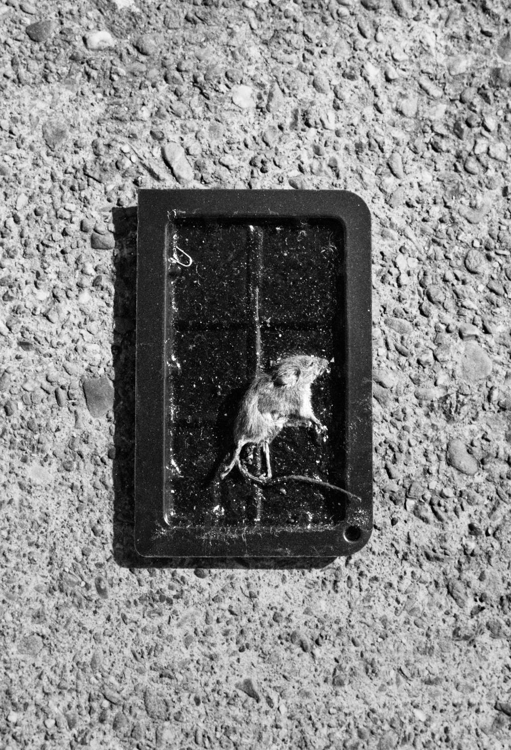 (un)lucky