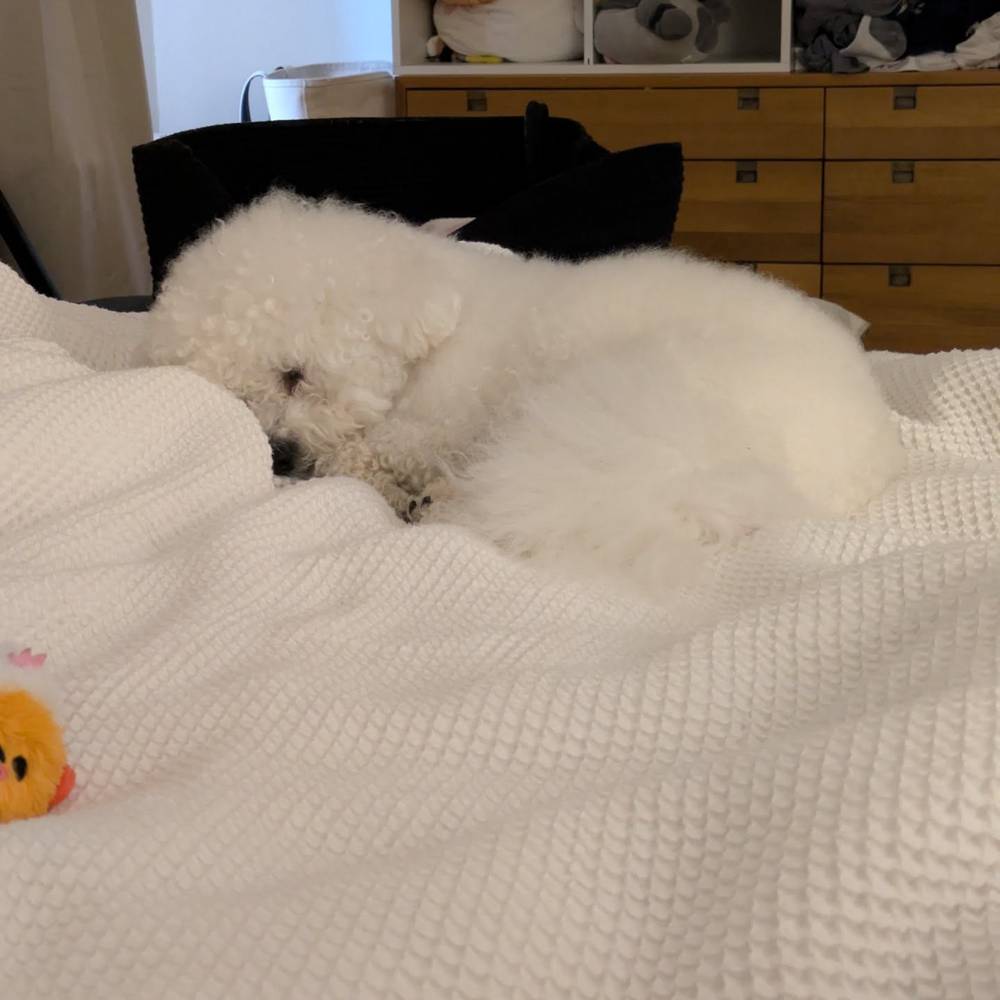 It's noon, but I'm having a lazy day today. 😴