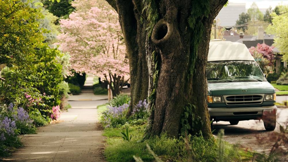 Spring Dreams in Portland's Irvington District