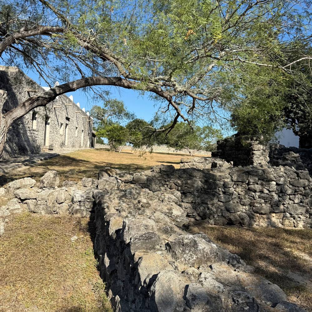 Auto-generated description: Ancient stone ruins surrounded by trees and grass are set under a clear blue sky.