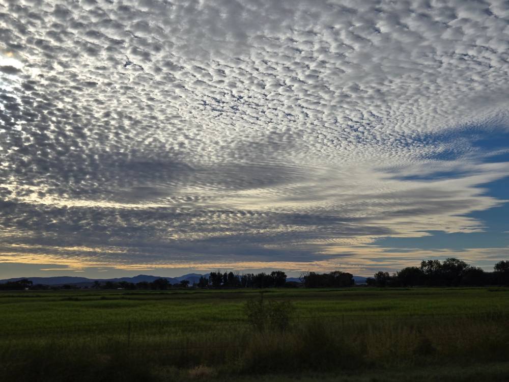 A cloud filled sky above a green pasture line with trees. The clouds have  a speckled pattern with ripples along the thin edges. It almost has a nest negative image appearance as the clouds are lit brightly from behind by the morning sun creating dark patches beneath. 
