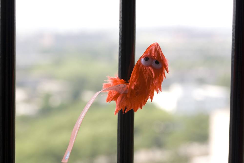 A fuzzy orange cat toy with googly eyes hangs against a window, apparently having gotten wet.