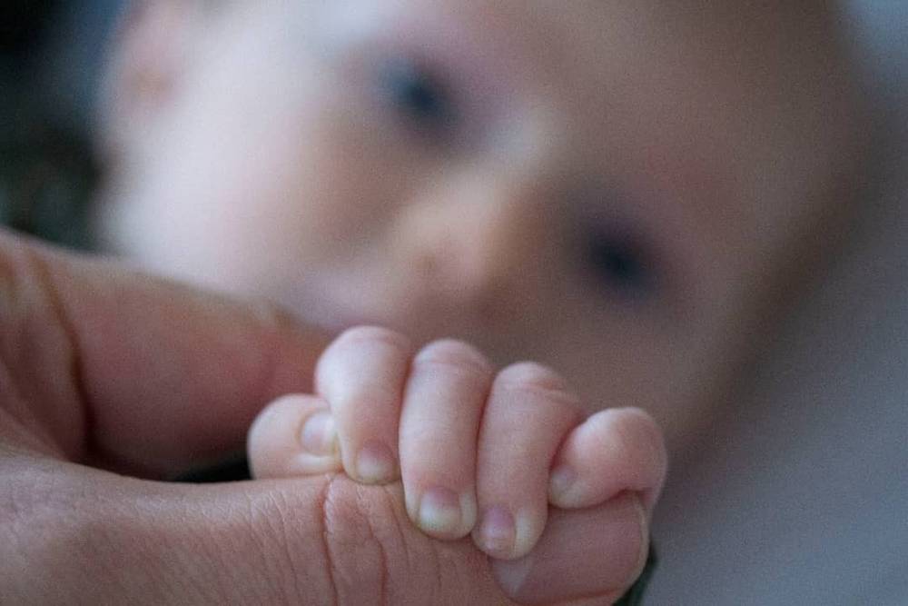 Extreme close-up of a baby's small hand held by an adult's finger.