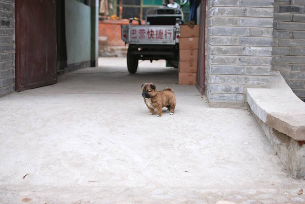 China, 2011
