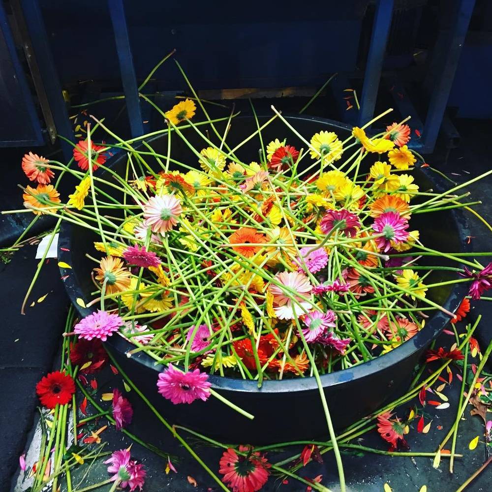 A container overflowing with loose, colorful cut gerbera flowers.