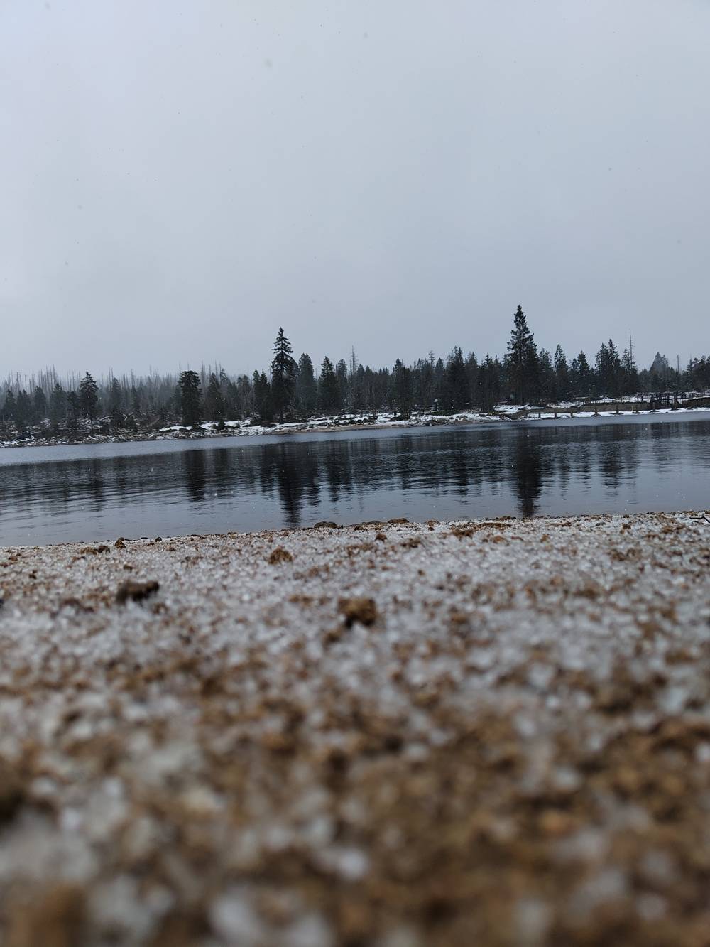 snowy