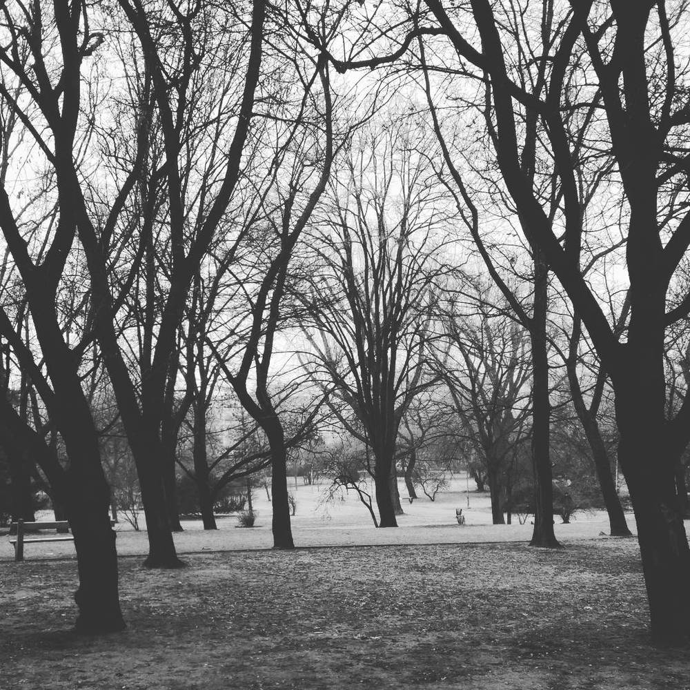 Dec 17, 2016, photo 1 of 1