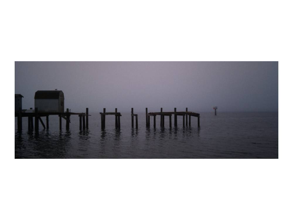 into the fog