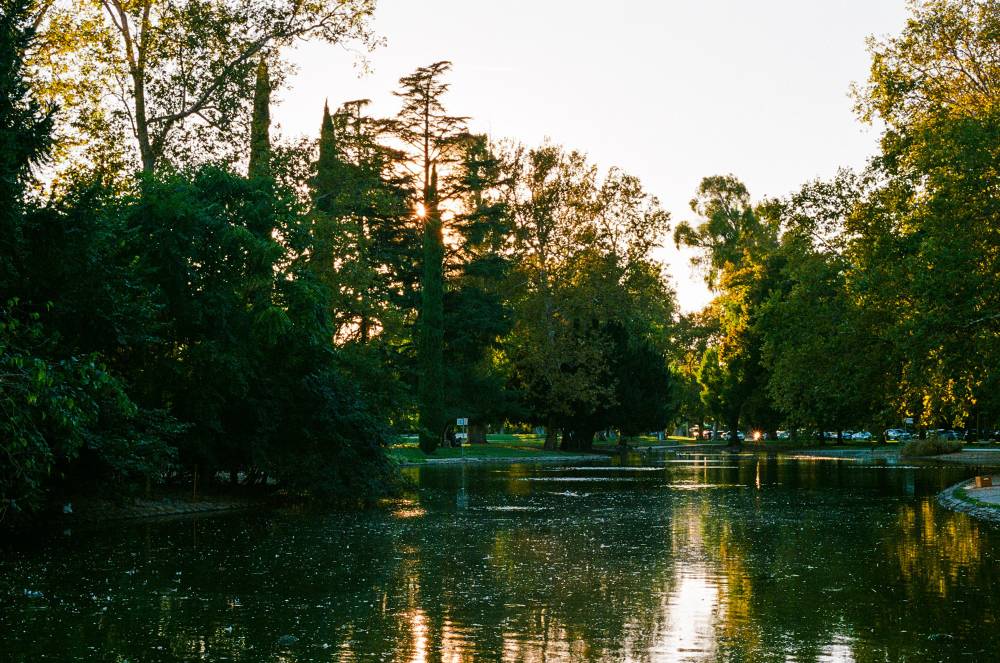 Shot of the pond in late afternoon lighting.