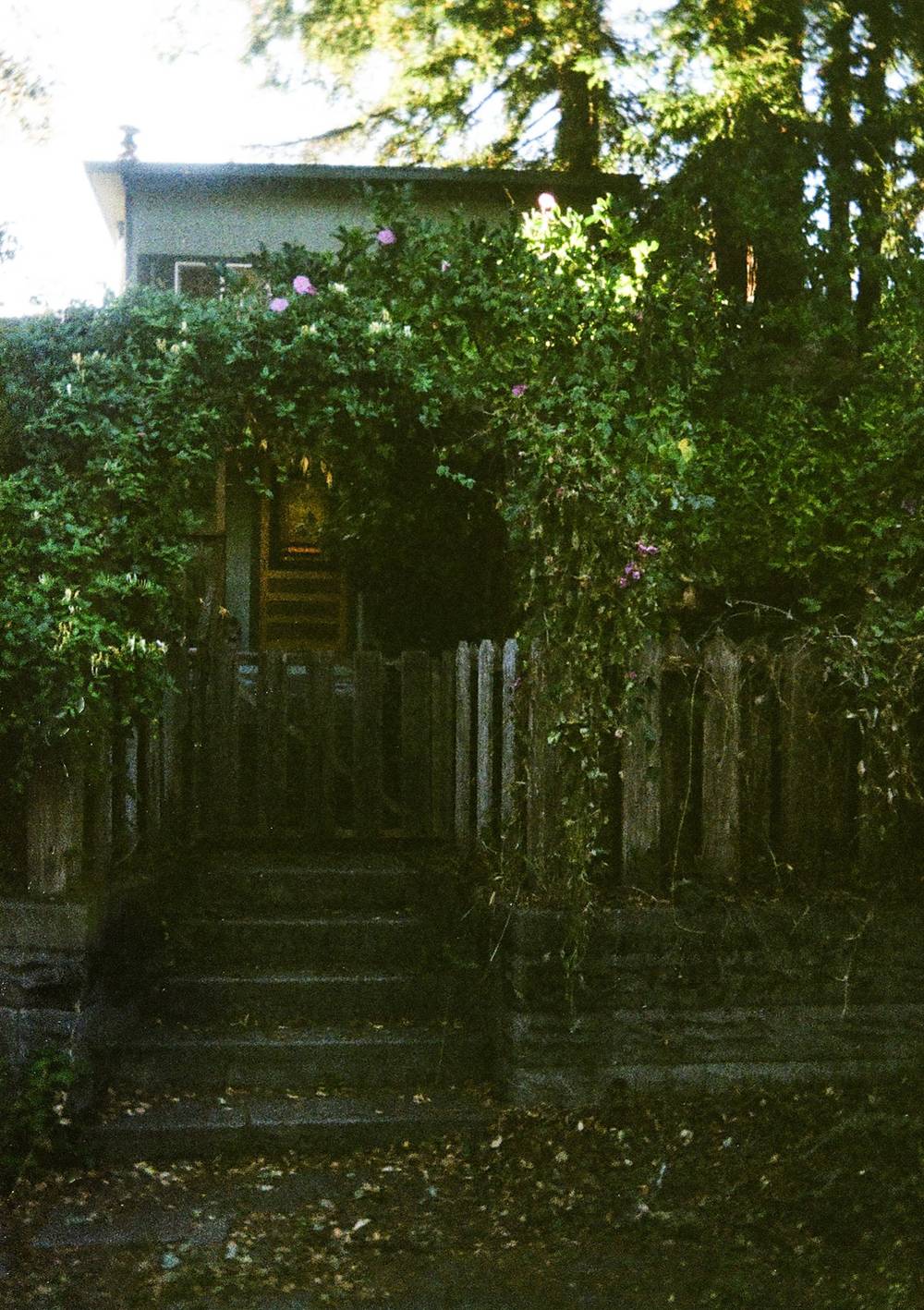 Photos I’ve liked from the Ektar H35 I carry around in my purse.