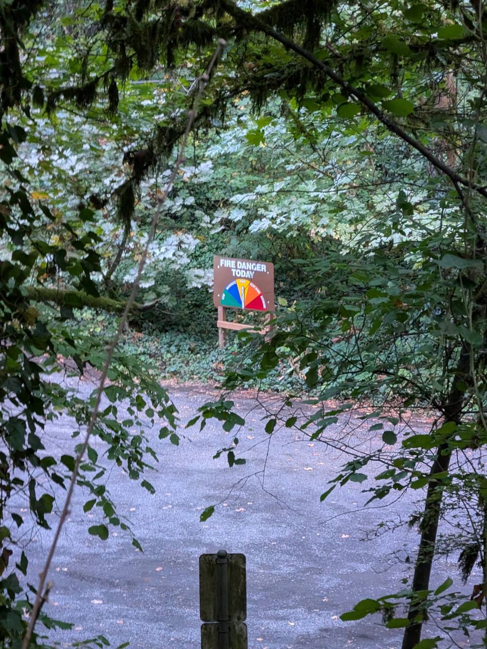 FIRE DANGER TODAY sign set in the middle to HIGH, with foliage on all sides