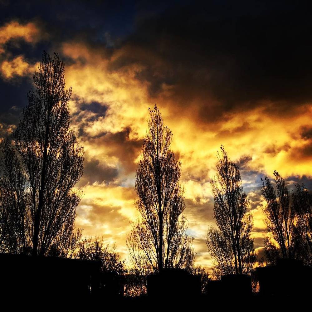 Silhouetted bare trees against a dramatic orange and grey sunset sky.