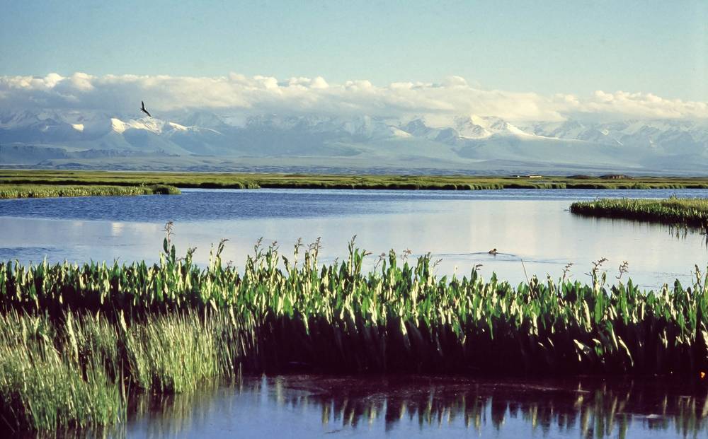 Bayanbulak Grasslands facing the Tianshan Mountains