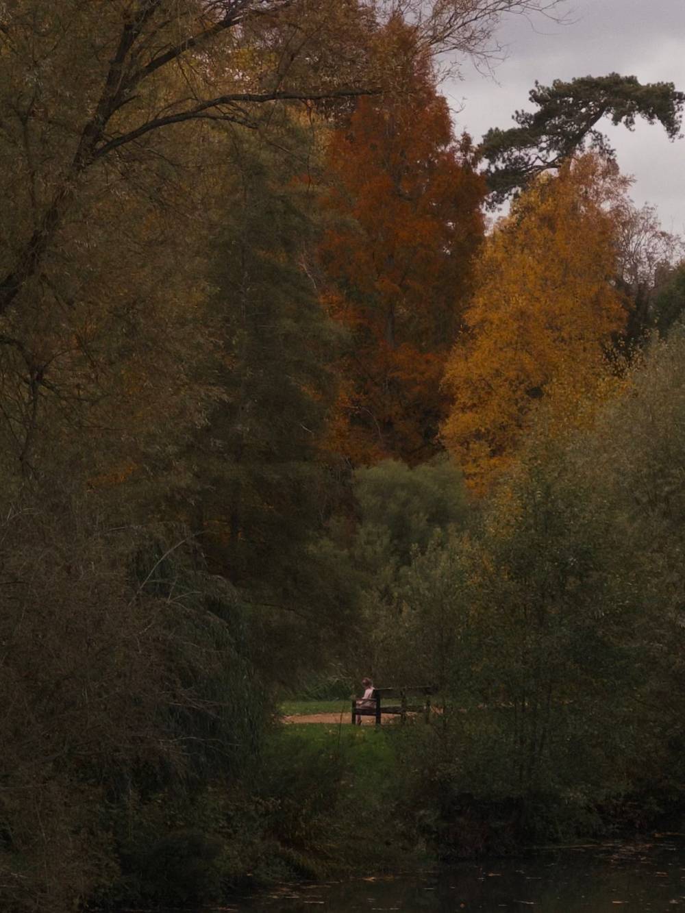Autumn in Oxford