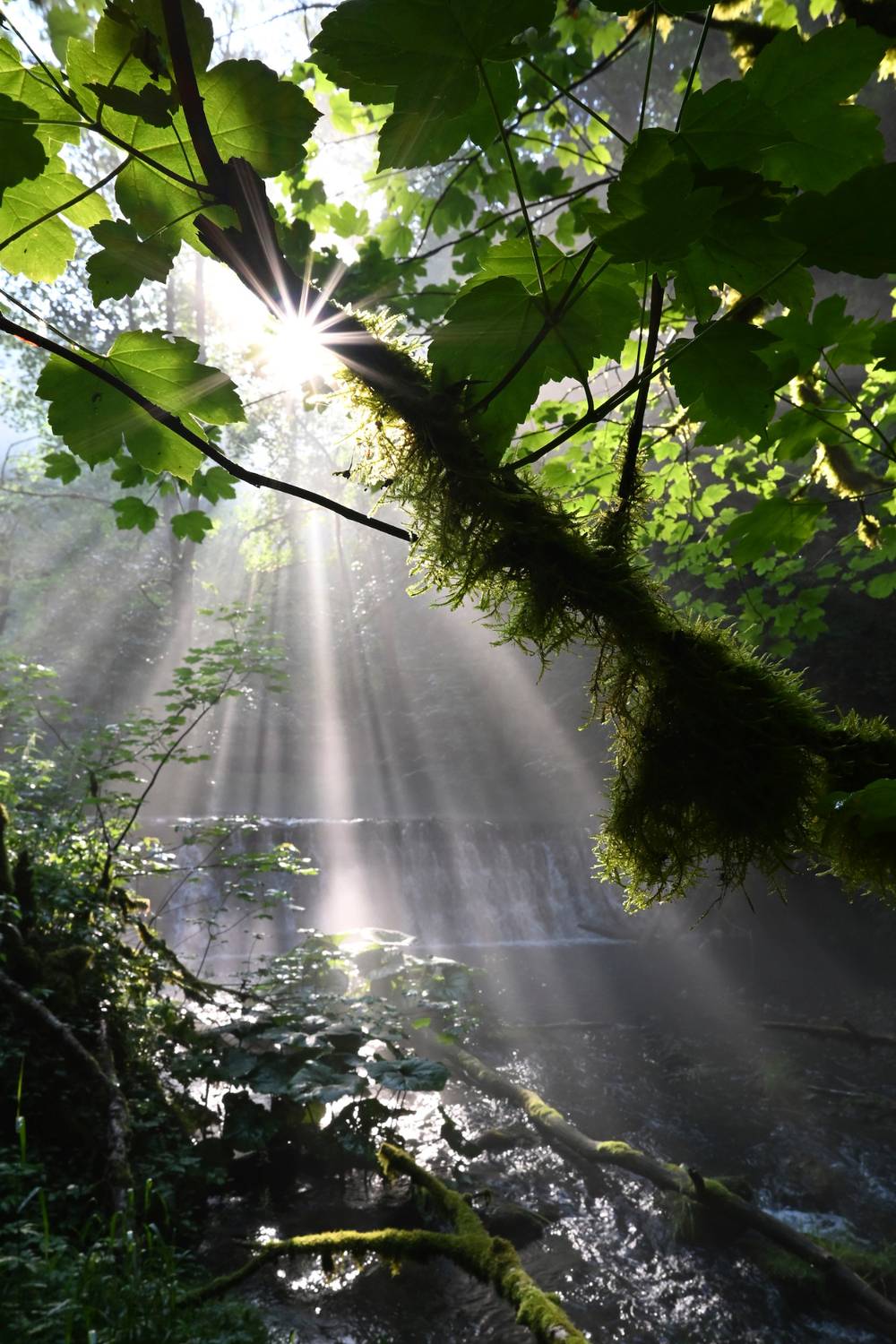 Tyndall effect
