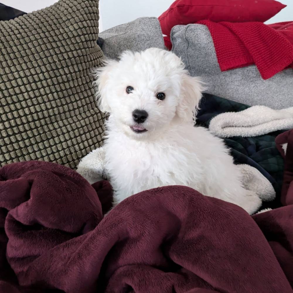 I like to jump at the camera when mommy's taking a photo 📸, photo 1 of 2