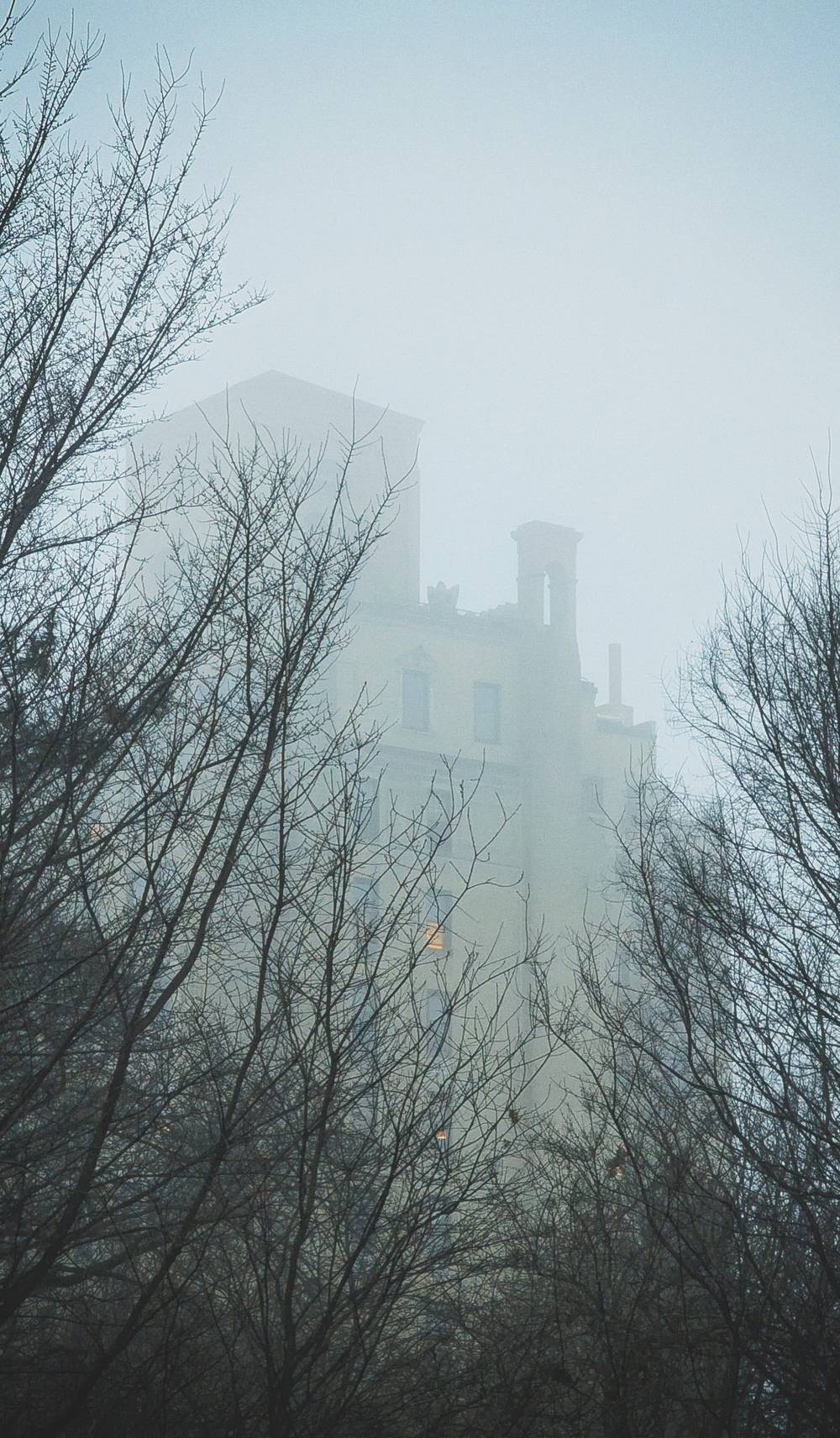 Fog