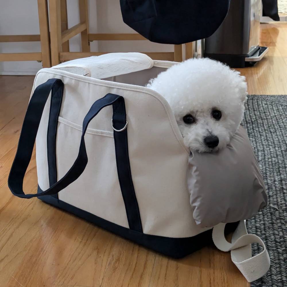 I got a new bag today. Now mommy doesn't have an excuse to leave me at home when she goes out 😌, photo 1 of 1