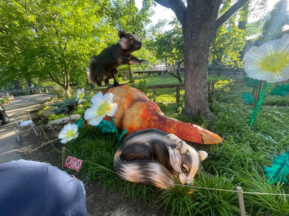 A lantern of unidentifed black and white animals