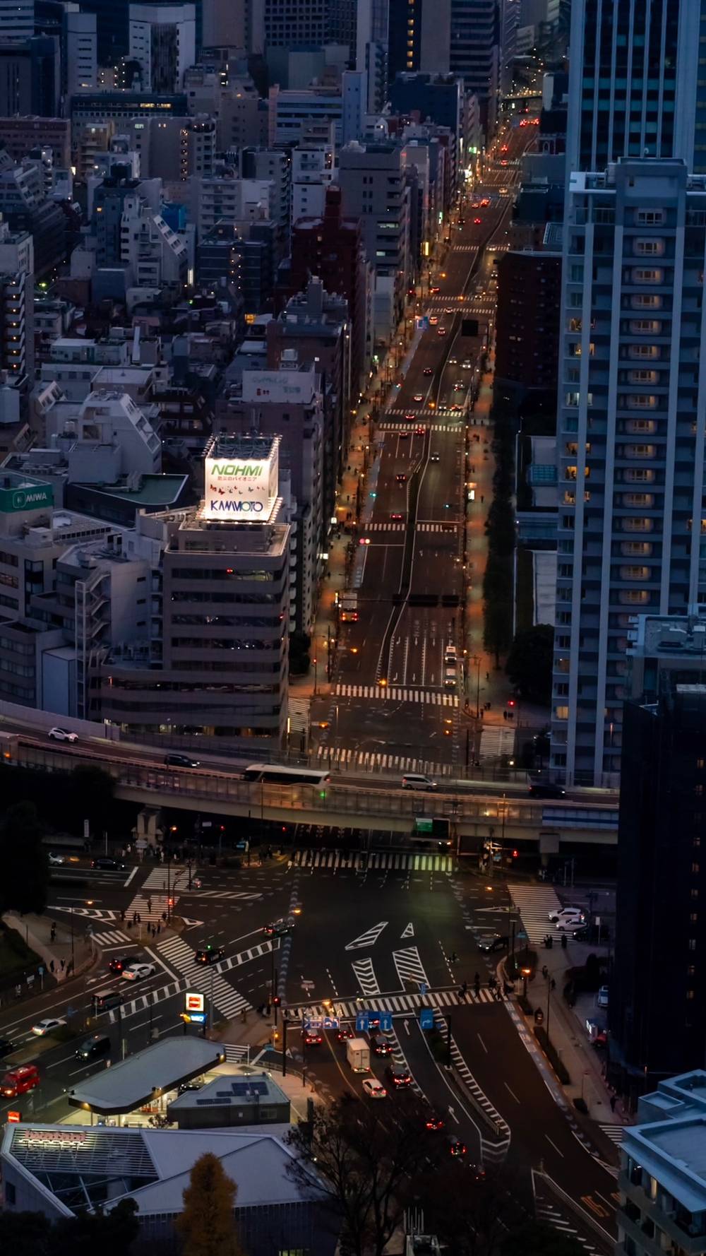 View of Akabane Bridge from Tokyo Tower at Dusk
