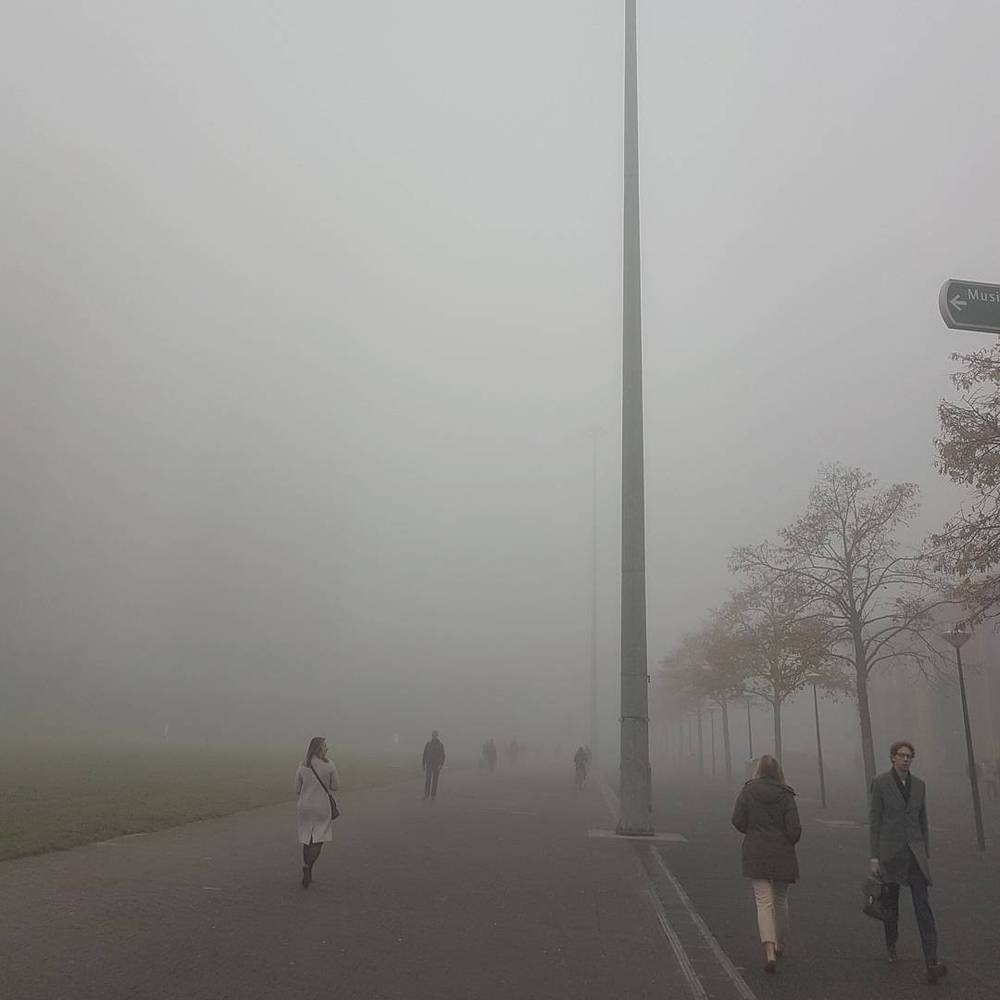 Pedestrians walking along a foggy tree-lined path.