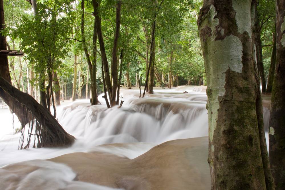 Small waterfalls in a forest