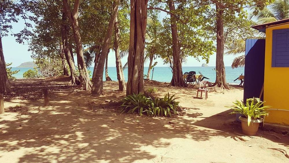 A shaded beach spot under large trees near a small colourful building.