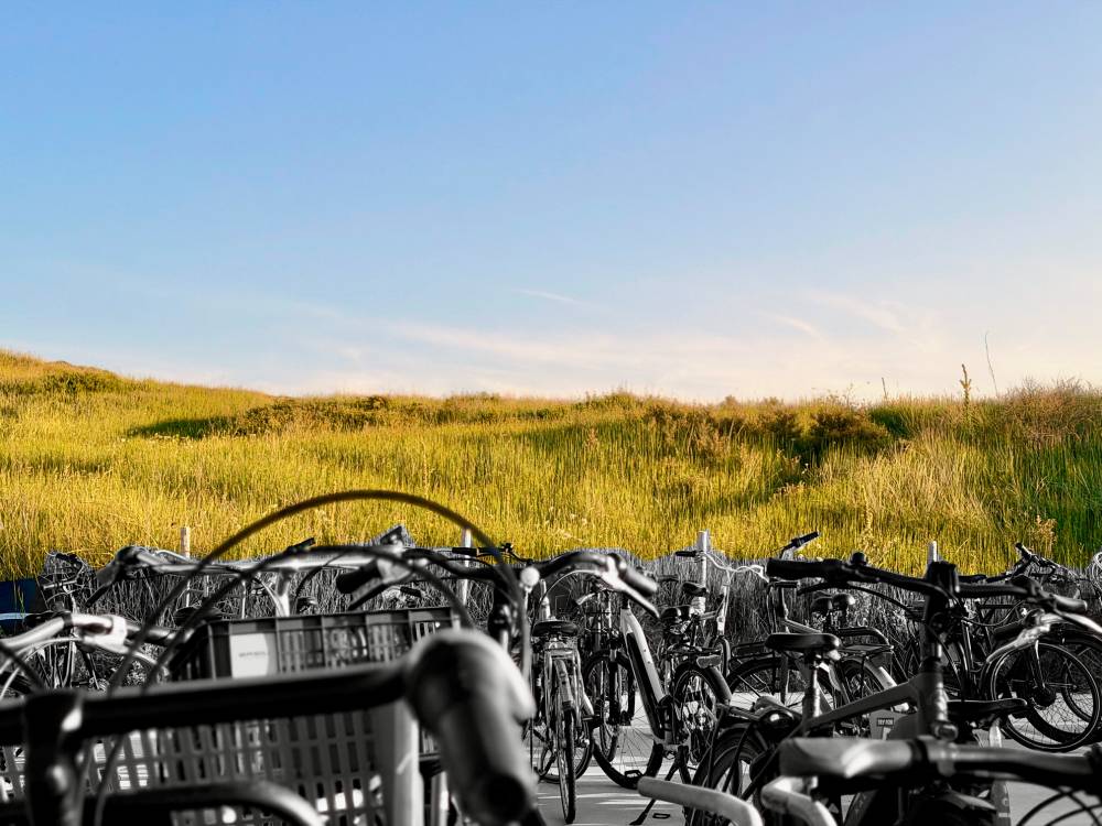 Fiets and dunes