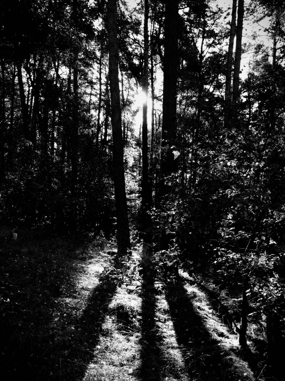 Light and Shadow